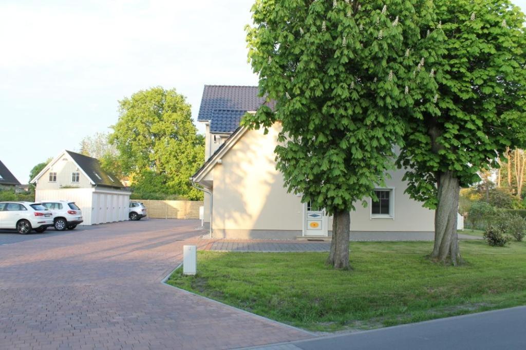 Neue Reihe 28 - Wohnung Vogelnest Цингст Экстерьер фото